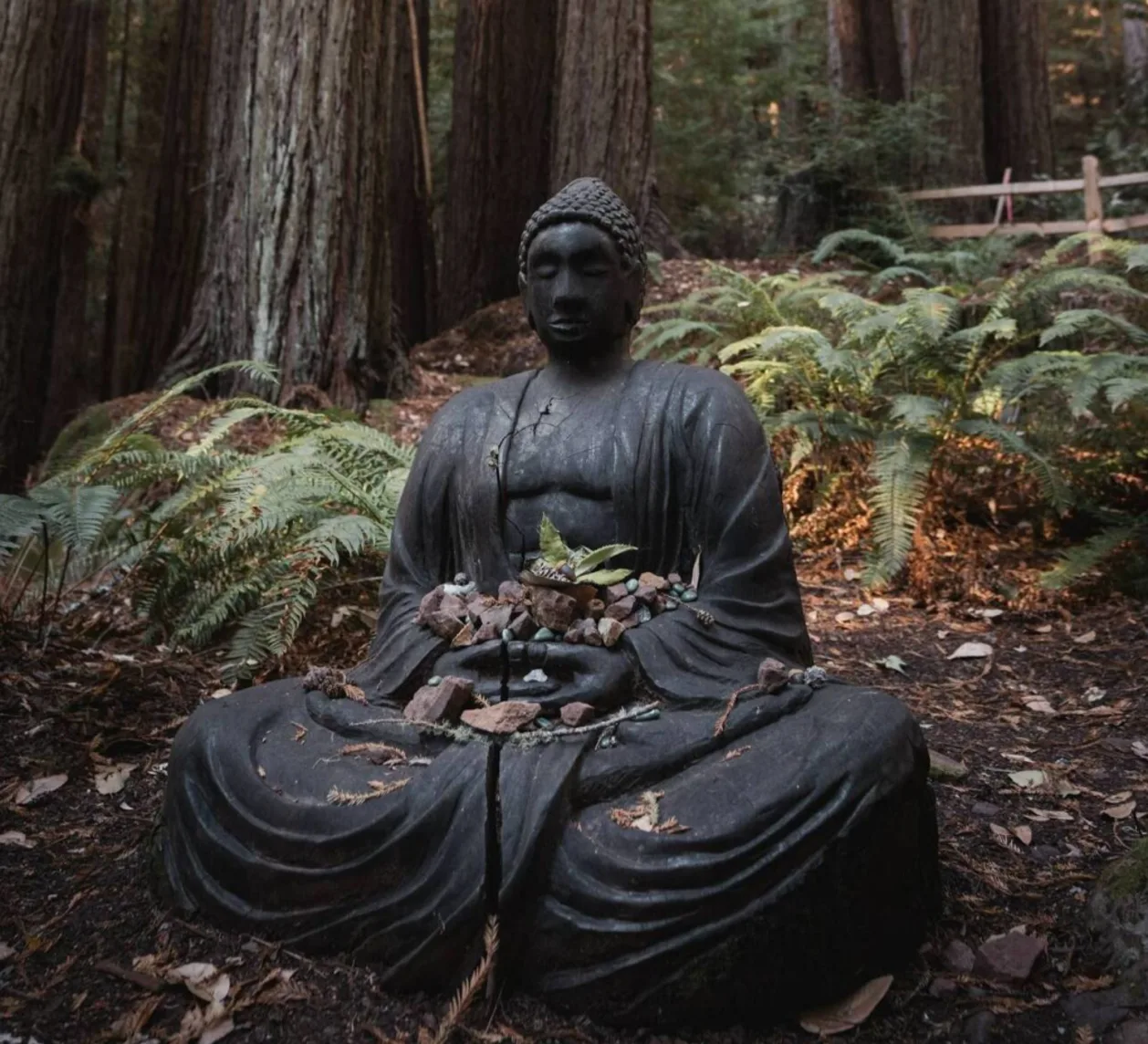 Buddha sculpture at Canyon Ranch Woodside